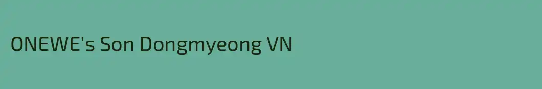 ONEWE's Son Dongmyeong VN